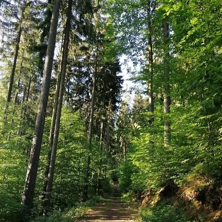 Haenel アパート Antonshöhe